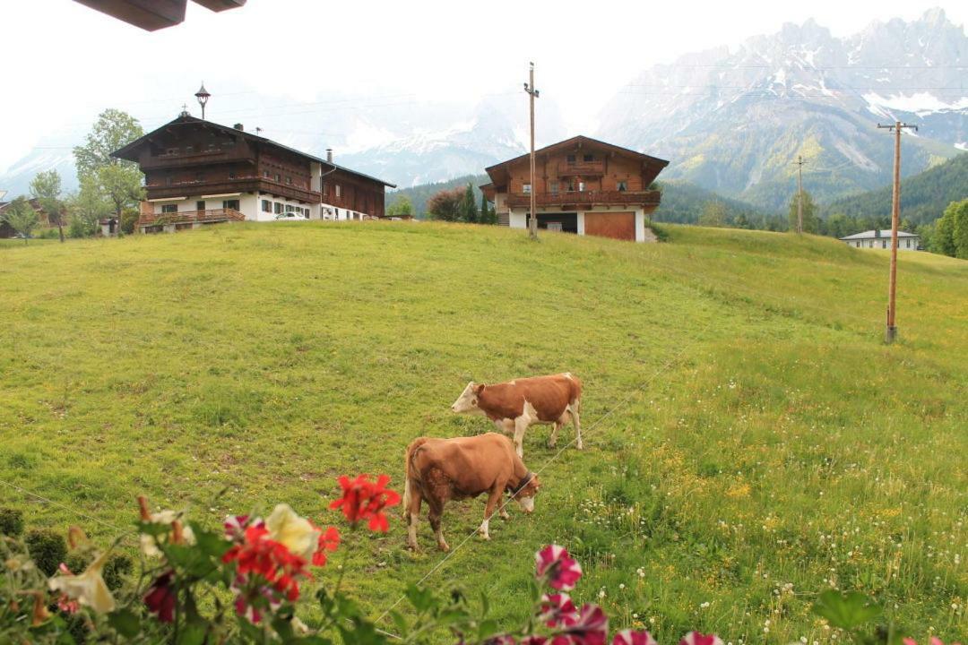 Pension Sunnberg Going am Wilden Kaiser Dış mekan fotoğraf